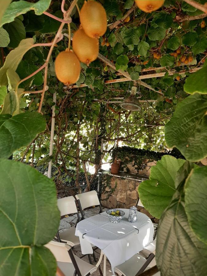 Sailor'S Rustic House Villa Virpazar Bagian luar foto