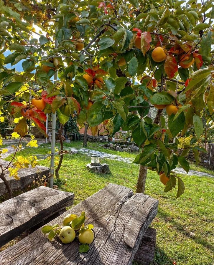 Sailor'S Rustic House Villa Virpazar Bagian luar foto
