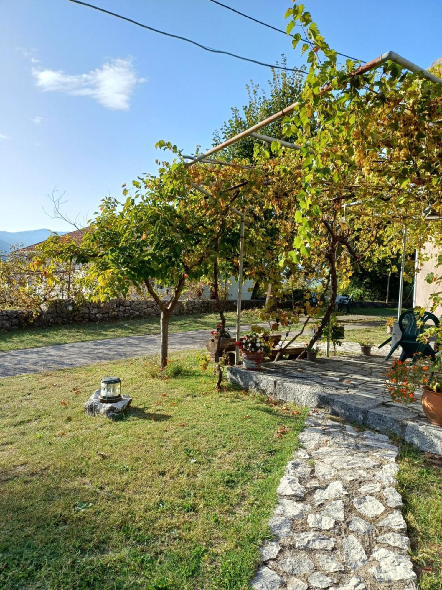 Sailor'S Rustic House Villa Virpazar Bagian luar foto