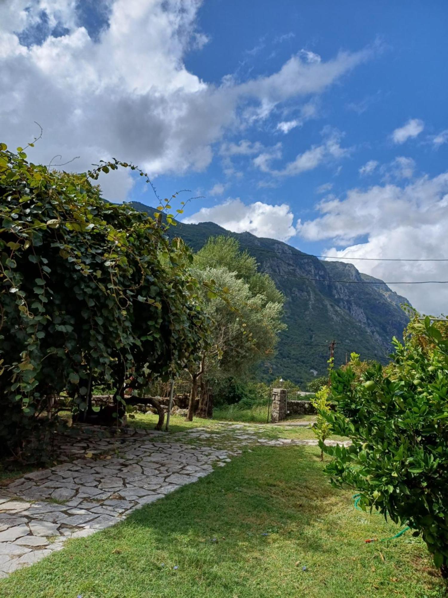 Sailor'S Rustic House Villa Virpazar Bagian luar foto