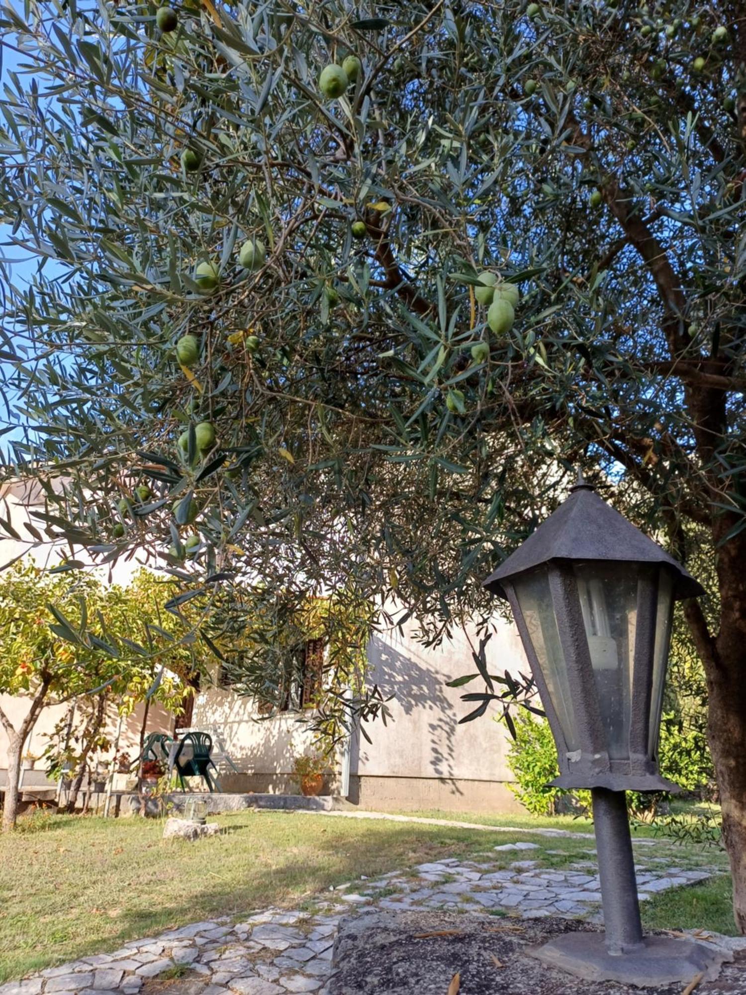 Sailor'S Rustic House Villa Virpazar Bagian luar foto