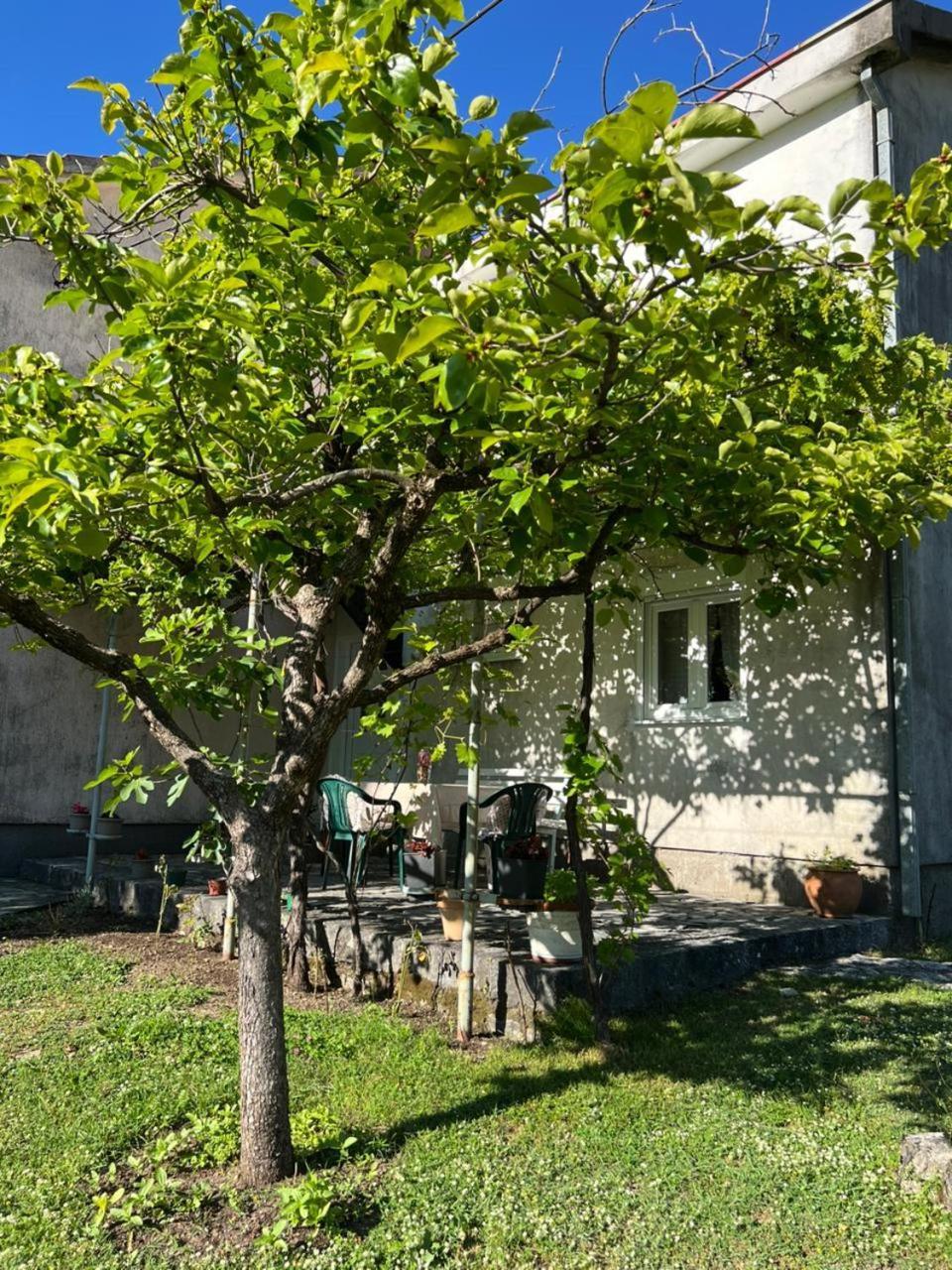 Sailor'S Rustic House Villa Virpazar Bagian luar foto