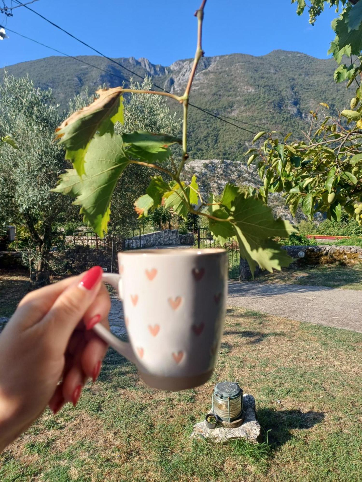 Sailor'S Rustic House Villa Virpazar Bagian luar foto