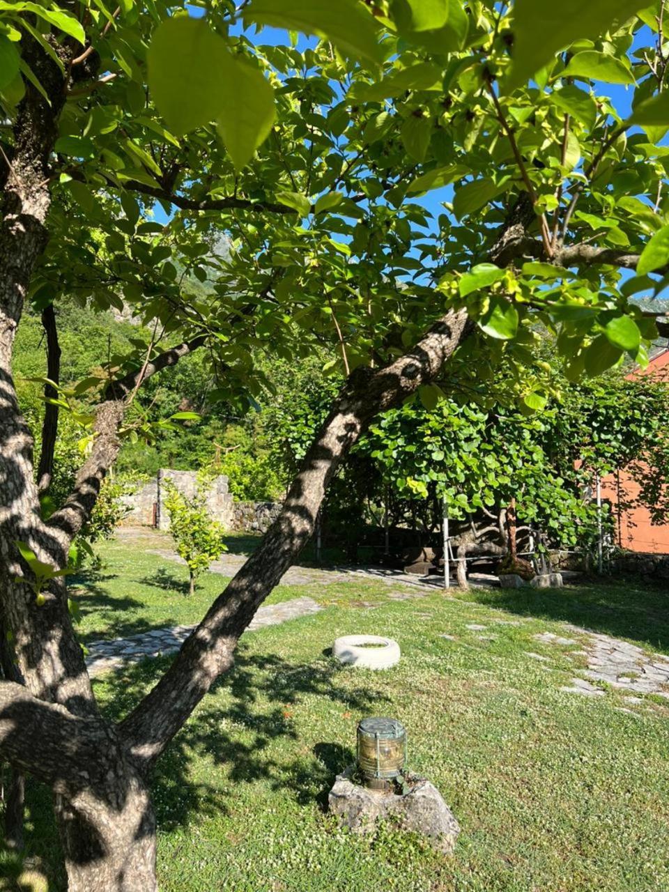 Sailor'S Rustic House Villa Virpazar Bagian luar foto